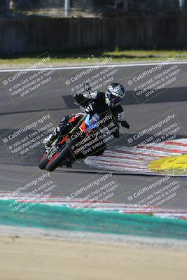 media/Mar-17-2024-Fastrack Riders (Sun) [[c7d6f8c14c]]/Level 2/Turn 6/